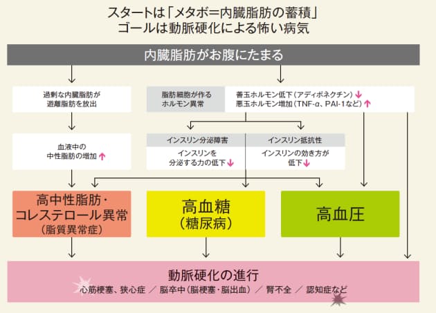 隠れメタボが進行 40歳からの血液リスク管理術 Nikkei Style 隠れメタボが進行 40歳からの血液リスク管理術 Nikkei Style