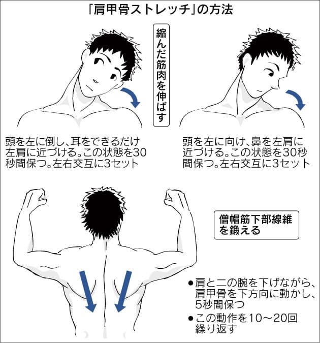 痛みを感じない程度に伸ばす 肩甲骨ストレッチ で頑固な肩こり解消 一人で手軽 Nikkei Style