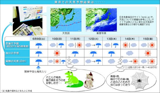 素人の天気予想 どこまで当たる 言い伝え 意外と頼りに くらし ハウス Nikkei Style