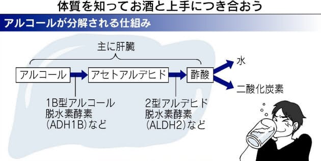 お酒の飲み方 5つの体質別の注意点 Nikkei Style お酒の飲み方 5つの体質別の注意点 Nikkei Style