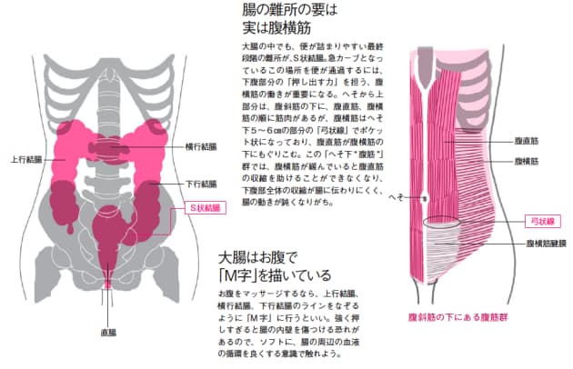 開腹 手術 腹筋