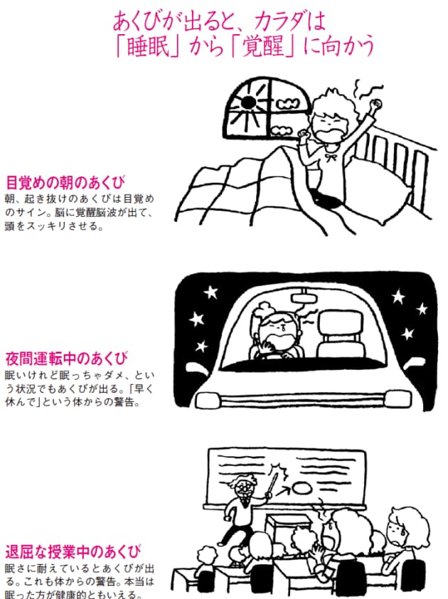 性のメカニズムと関係も あくび のヒミツ ヘルスup Nikkei Style