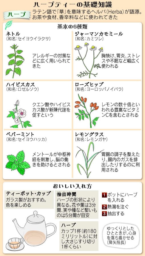 まず基本6種から 体調整えるハーブティーの飲み方 ヘルスｕｐ Nikkei Style