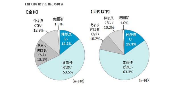 犬猿の仲に変化の兆し 嫁と姑 いまどきの関係 日経bizgate 犬猿の仲に変化の兆し 嫁と姑 いまどきの関係 日経bizgate
