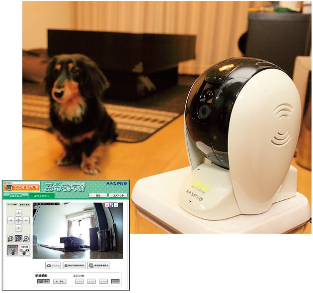 過保護 な愛犬家も納得 進化するペット用品 Mono Trendy Nikkei Style