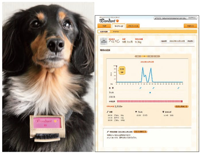 急増する メタボ犬 の救世主 過保護 な愛犬家も納得 進化するペット用品 Nikkei Style 急増する メタボ犬 の救世主 過保護 な愛犬家も納得 進化するペット用品 Nikkei Style