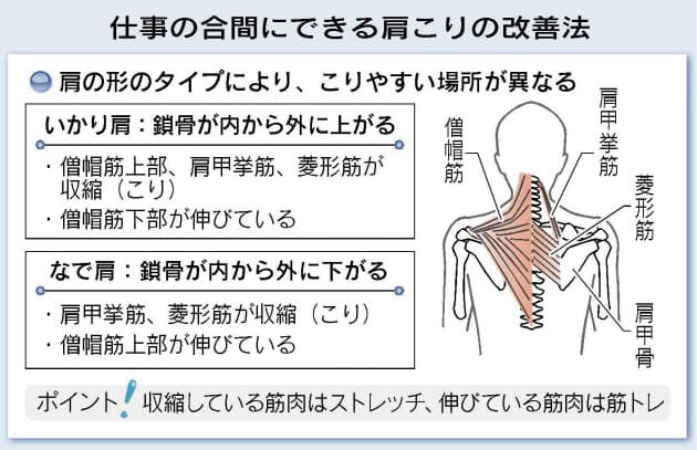 肩 痛い 筋 トレ