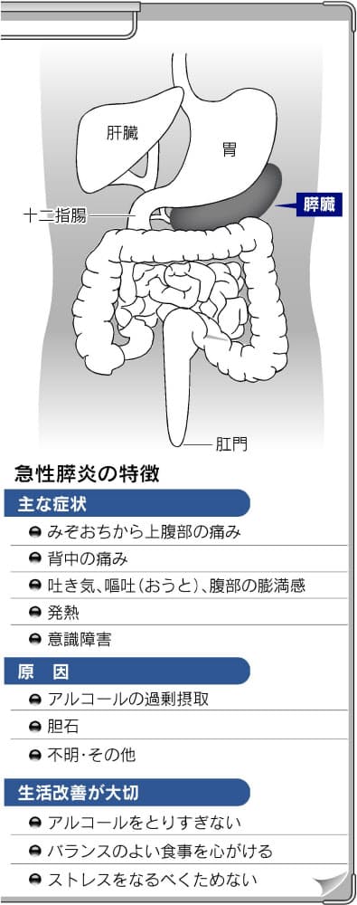 急性膵炎 飲み過ぎが引き金 数時間 翌日の発症多く ヘルスｕｐ Nikkei Style