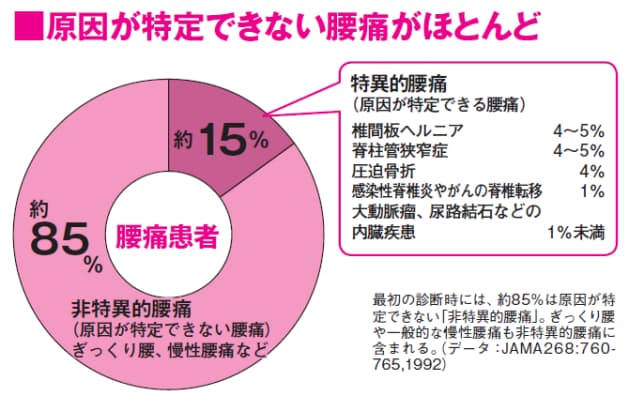 骨折 ガイドライン 圧迫 脊椎圧迫骨折の基礎知識や、リハビリにおける注意点について。