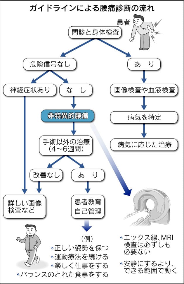 つらい腰痛どう治療 学会が指針 タイプ別に分類 Nikkei Style