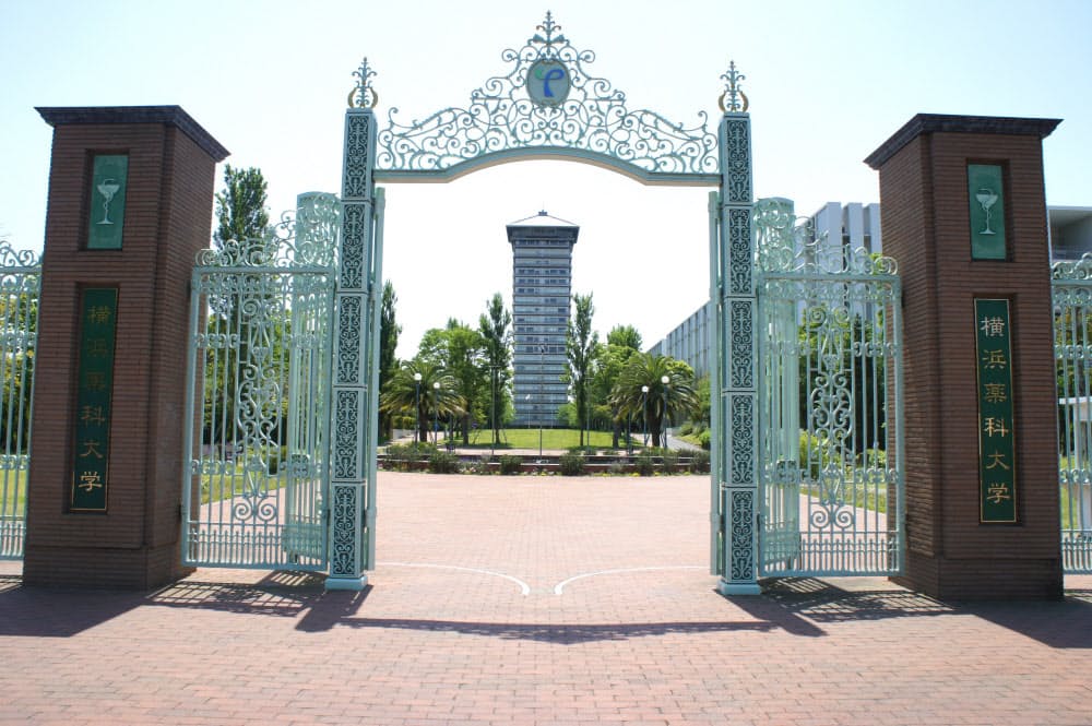 横浜ドリームランド跡地 奇抜なホテルは大学の図書館に 向ケ丘遊園 ドリームラン Nikkei Style 横浜ドリームランド跡地 奇抜なホテルは大学の図書館に 向ケ丘遊園 ドリームラン Nikkei Style