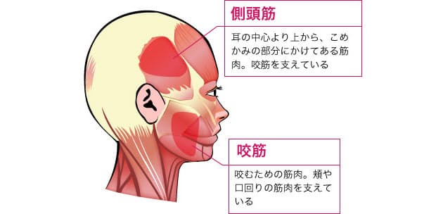 ほうれい線に効く 顔の筋肉エクササイズ Nikkei Style