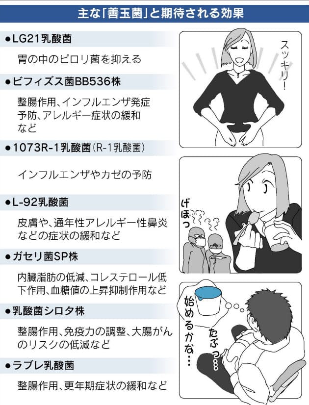 乳酸菌 サプリ 効果