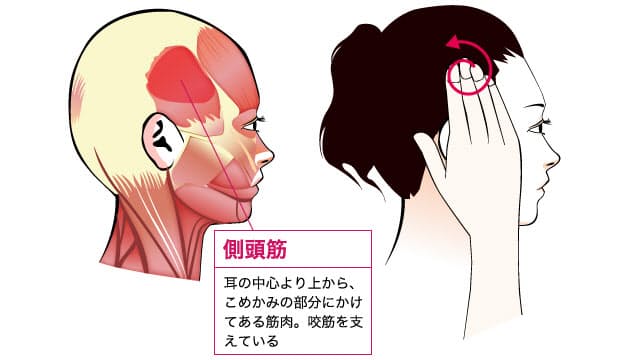 側頭部と口元のマッサージで ほうれい線 を撃退 Nikkei Style