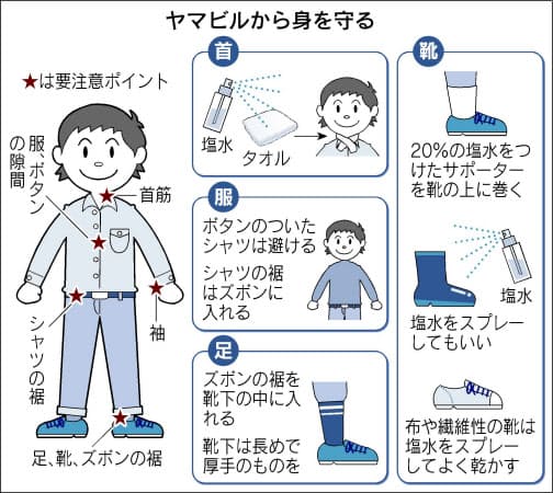 ハイキング 吸血ヒルに注意 血止まらず強いかゆみ ヘルスup Nikkei Style