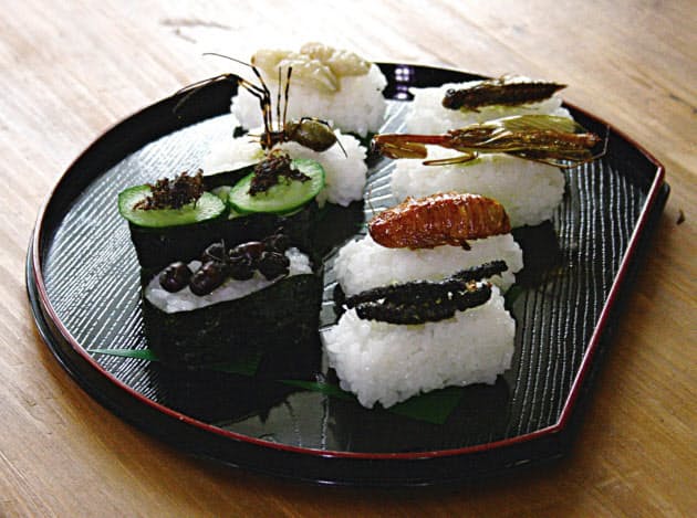 昆虫は将来の栄養源 人口急増見据え見直し機運 日経bizgate 昆虫は将来の栄養源 人口急増見据え見直し機運 日経bizgate