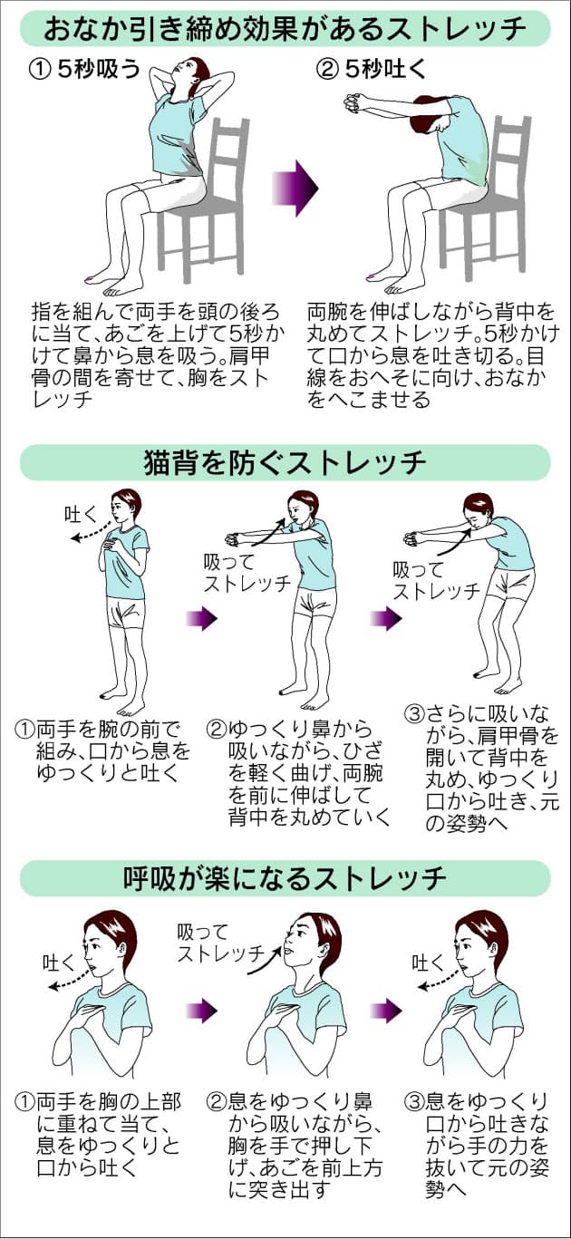筋肉に弾力性 おなか引き締め 猫背改善 深い呼吸で若返る Nikkei Style