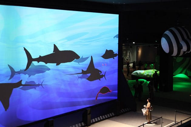 オービィ横浜 幅40mの巨大映像で いざ 大自然 Nikkei Style オービィ横浜 幅40mの巨大映像で いざ 大自然 Nikkei Style