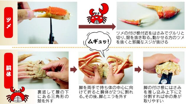 半解凍がスムーズ カニの殻むき 記者が10日間特訓 くらし ハウス Nikkei Style