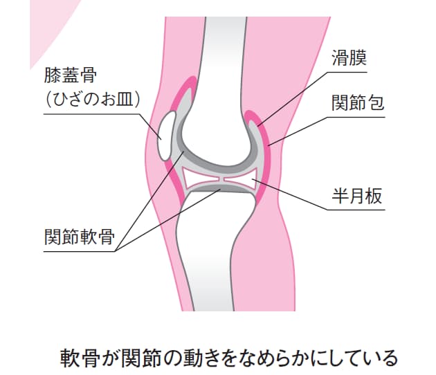 歩幅が狭くなったら注意 つらい ひざ痛 の治し方 Woman Smart Nikkei Style