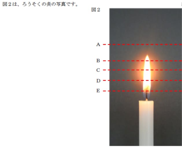 実際に目で見たものと 教科書の情報が結びついているか 鴎友学園 知識不要 時事 Nikkei Style 実際に目で見たものと 教科書の情報が結びついているか 鴎友学園 知識不要 時事 Nikkei Style