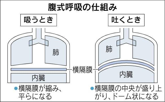 ゆっくり 深く 腹式呼吸法で心も体も健康に Nikkei Style