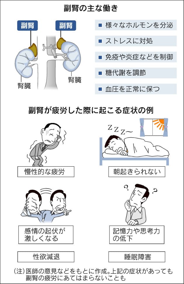 あなたの 副腎 疲れてない 体調不良の原因に Nikkei Style