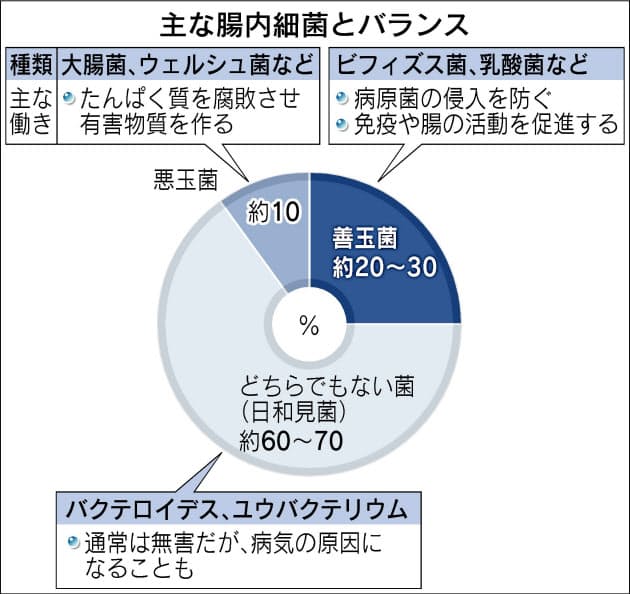 健康維持に大切な腸内細菌 抗生物質や食習慣で乱れ Nikkei Style 健康維持に大切な腸内細菌 抗生物質や食習慣で乱れ Nikkei Style