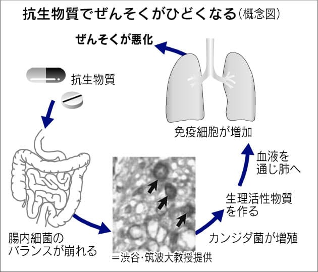 ドルマイシン軟膏 カンジダ