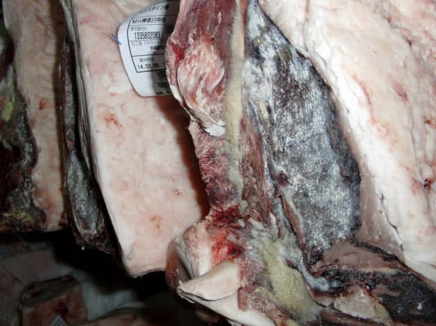 熟成肉なぜうまい 腐りかけの肉 と何が違う Nikkei Style 熟成肉なぜうまい 腐りかけの肉 と何が違う Nikkei Style
