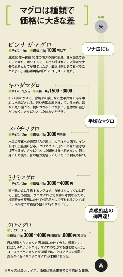 銀座 スーパー 近大 マグロの味と価格の関係 旅行 レジャー Nikkei Style