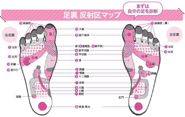 足つぼマップ 足裏のツボ・反射区【完全マップ】かんたん図解付き