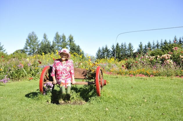 人 が呼ぶ観光客 北海道 紫竹ガーデン人気の秘密 Nikkei Style 人 が呼ぶ観光客 北海道 紫竹ガーデン人気の秘密 Nikkei Style