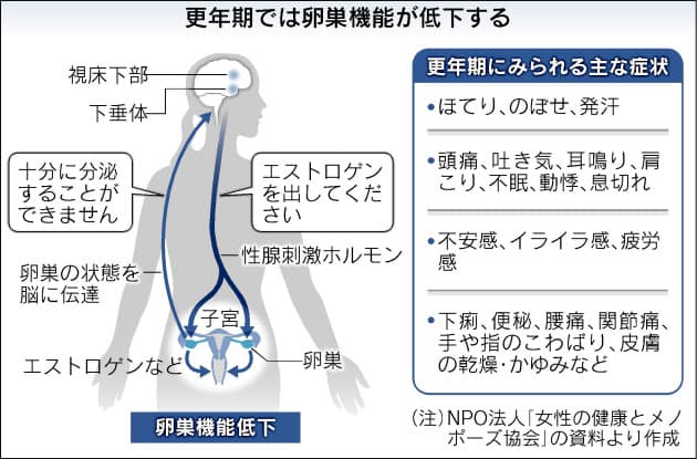 年齢 更年期 障害