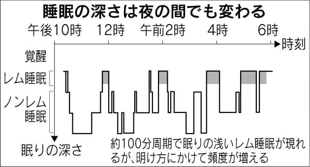 よく寝れば身長伸びるはウソ 眠りの最新常識 Nikkei Style よく寝れば身長伸びるはウソ 眠りの最新常識 Nikkei Style