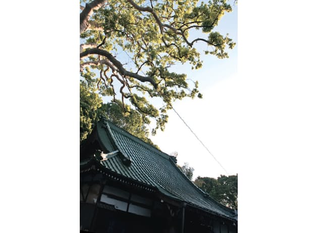 日々の暮らしが物足りないとき 頭から離れない悩みにサヨナラ 心が整う禅の言葉 Nikkei Style 日々の暮らしが物足りないとき 頭から離れない悩みにサヨナラ 心が整う禅の言葉 Nikkei Style