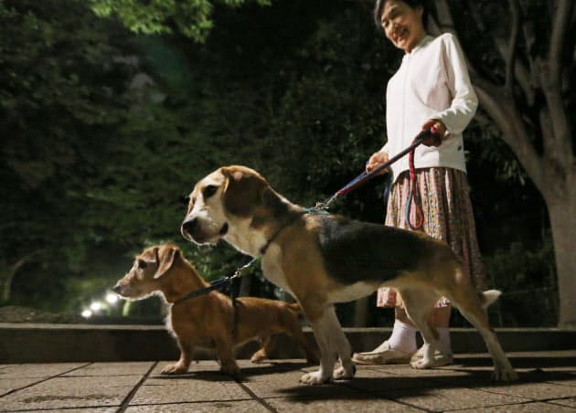 犬の散歩 健康維持以外にも様々な効用あり ライフコラム Nikkei Style