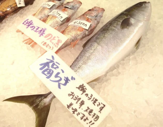 なぜ 出世魚 出世魚（しゅっせうお）の豆知識 /