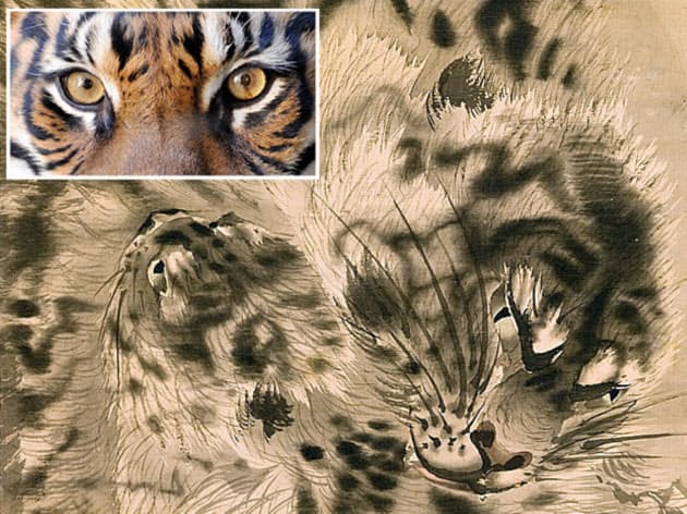 動物の瞳 適応進化の過程で瞳孔の形は様々 ライフコラム Nikkei Style