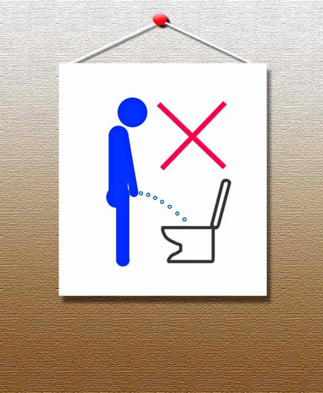トイレは聖域 掃除する身になってみたら 日経bizgate トイレは聖域 掃除する身になってみたら 日経bizgate