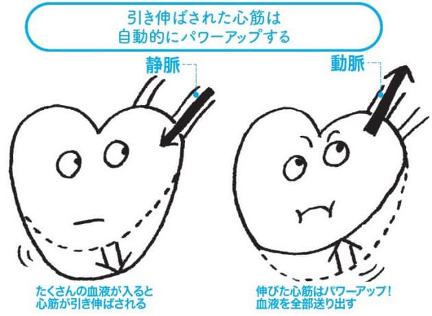 一番大事な心臓の 意外と単純なしくみ Nikkei Style 一番大事な心臓の 意外と単純なしくみ Nikkei Style