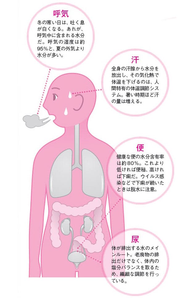 命の源 水 が 体でひっそりしていること Nikkei Style