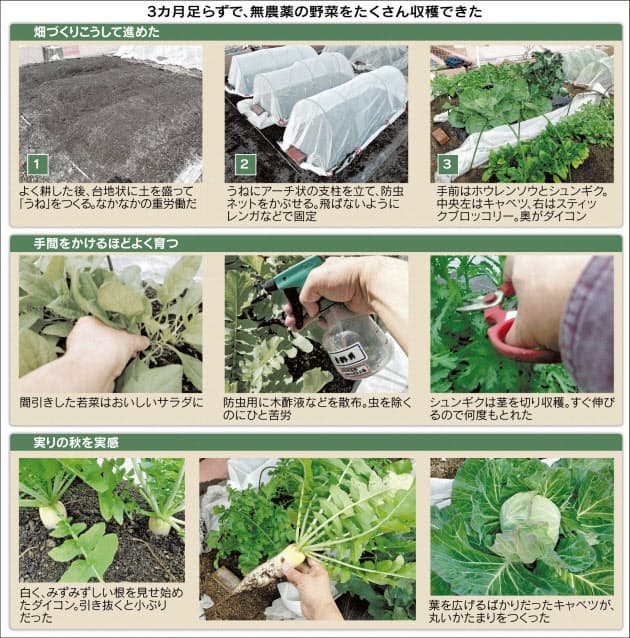 屋上で無農薬野菜に挑戦 指導付きで農園デビュー くらし ハウス Nikkei Style 屋上で無農薬野菜に挑戦 指導付きで農園デビュー くらし ハウス Nikkei Style