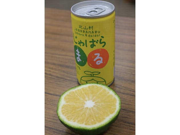 本州一小さな村を支える 花粉症に効く 珍種みかん Nikkei Style 本州一小さな村を支える 花粉症に効く 珍種みかん Nikkei Style