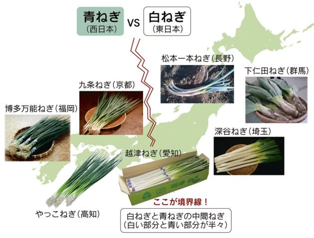 東西対決の境界は 白 青ねぎの分布の謎 Nikkei Style 東西対決の境界は 白 青ねぎの分布の謎 Nikkei Style