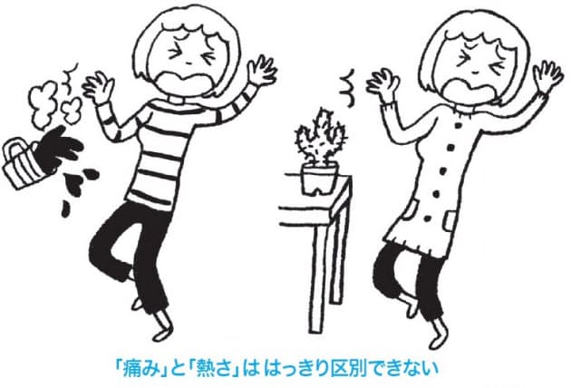 痛み 実は案外いいヤツ 命が守られる仕組み Nikkei Style 痛み 実は案外いいヤツ 命が守られる仕組み Nikkei Style