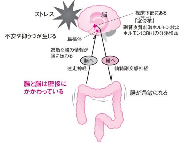 お腹 に ガス が たまる