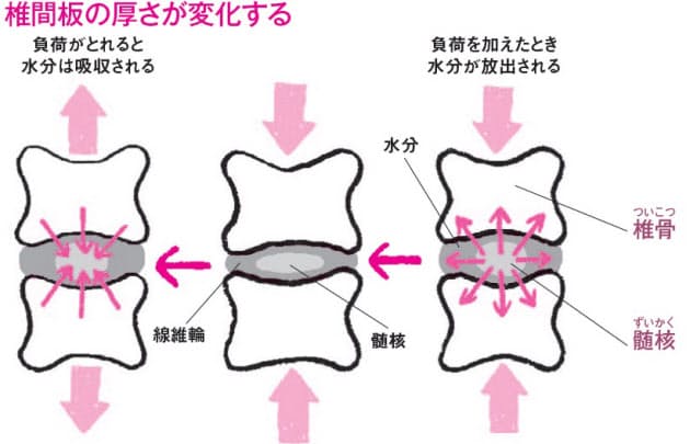 こまめに動けば背骨の若さ 強さを保てる Nikkei Style こまめに動けば背骨の若さ 強さを保てる Nikkei Style