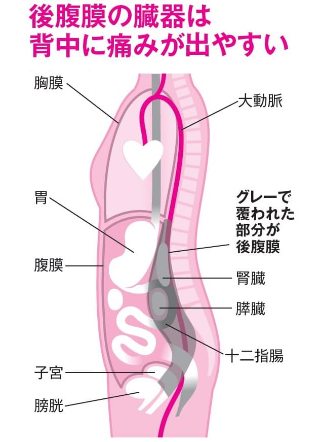 腰 内臓 左 の 痛み