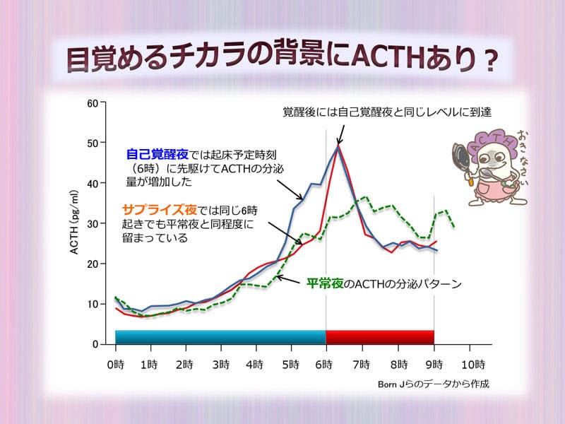 5 時 半 に 起こし て